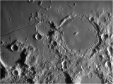 Pitatus 1